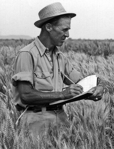Dr. Norman Borlaug